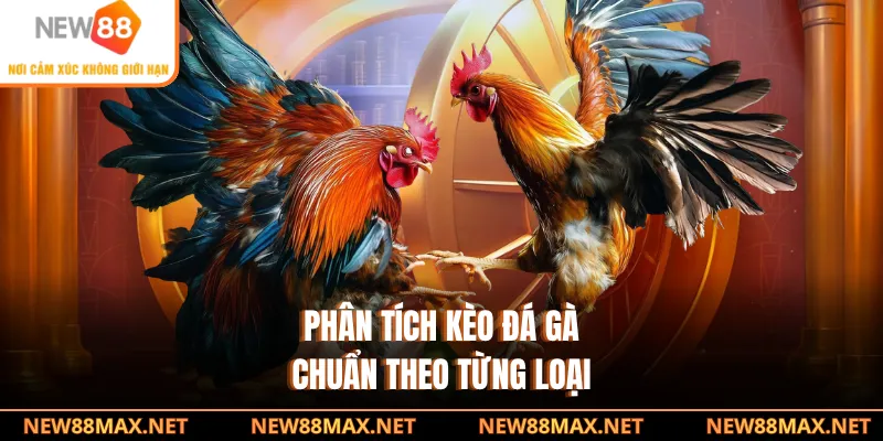  Phân tích kèo đá gà chuẩn theo từng loại